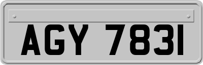 AGY7831