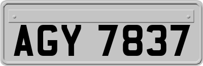 AGY7837