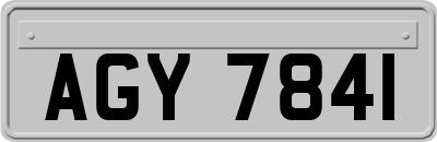 AGY7841