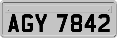 AGY7842