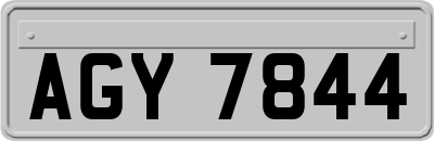 AGY7844