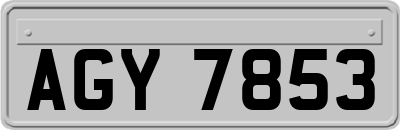 AGY7853