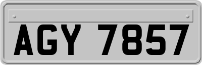AGY7857