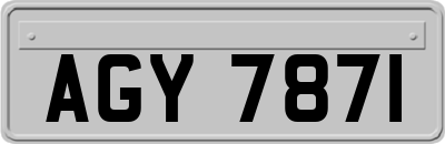 AGY7871