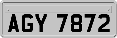 AGY7872
