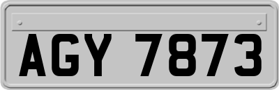 AGY7873