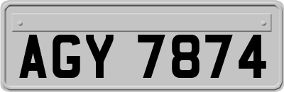 AGY7874