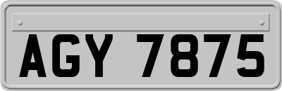 AGY7875