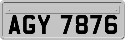 AGY7876
