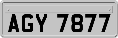 AGY7877