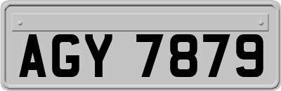 AGY7879