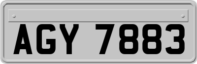 AGY7883
