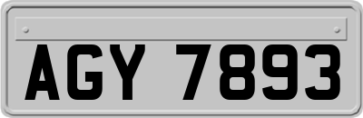 AGY7893