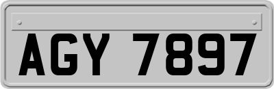 AGY7897