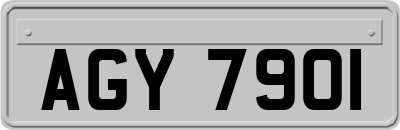 AGY7901