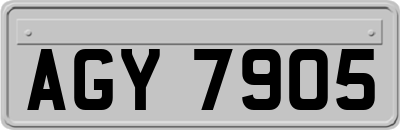 AGY7905