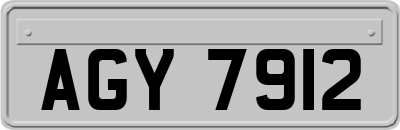 AGY7912