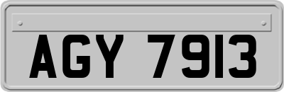AGY7913