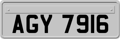 AGY7916