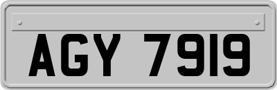 AGY7919