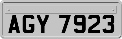 AGY7923