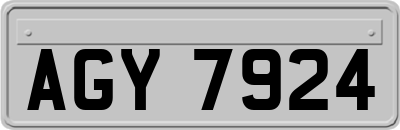 AGY7924