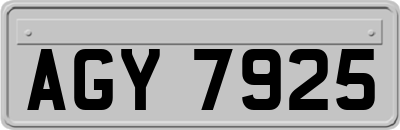 AGY7925