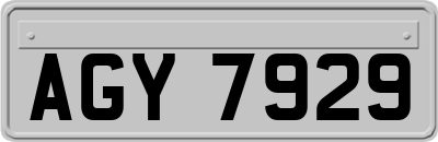 AGY7929