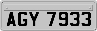 AGY7933