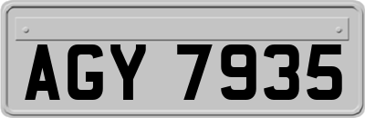 AGY7935