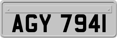 AGY7941
