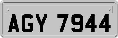AGY7944
