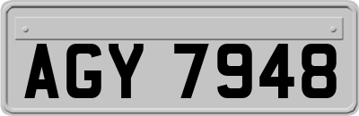 AGY7948
