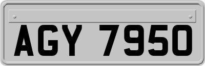AGY7950