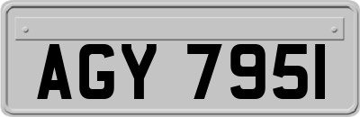AGY7951
