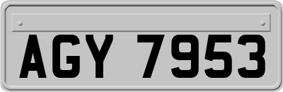 AGY7953