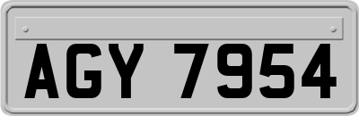 AGY7954