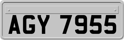 AGY7955