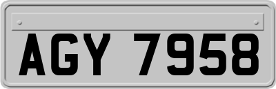 AGY7958