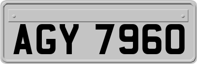 AGY7960
