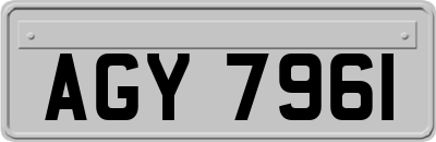 AGY7961