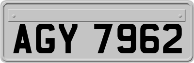 AGY7962