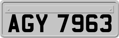 AGY7963