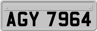 AGY7964