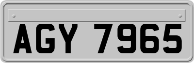 AGY7965