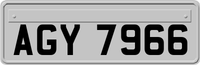 AGY7966