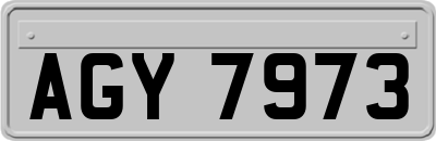 AGY7973