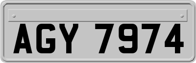 AGY7974