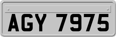 AGY7975