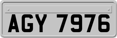 AGY7976